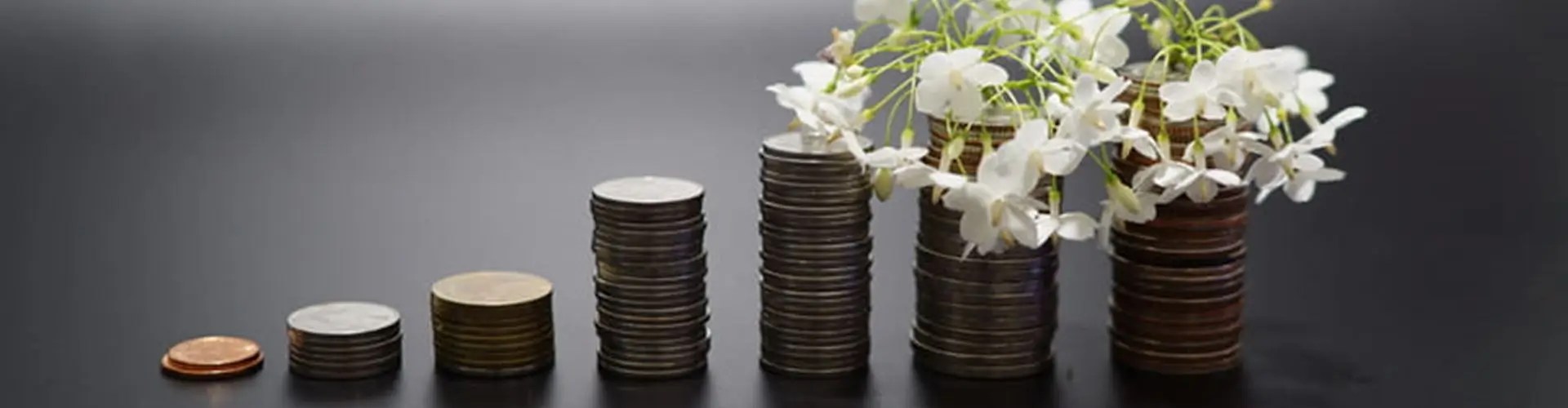 Postgraduate Programme In Banking and Finance