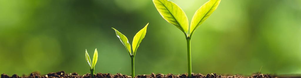 LSBF expands Singapore Institute