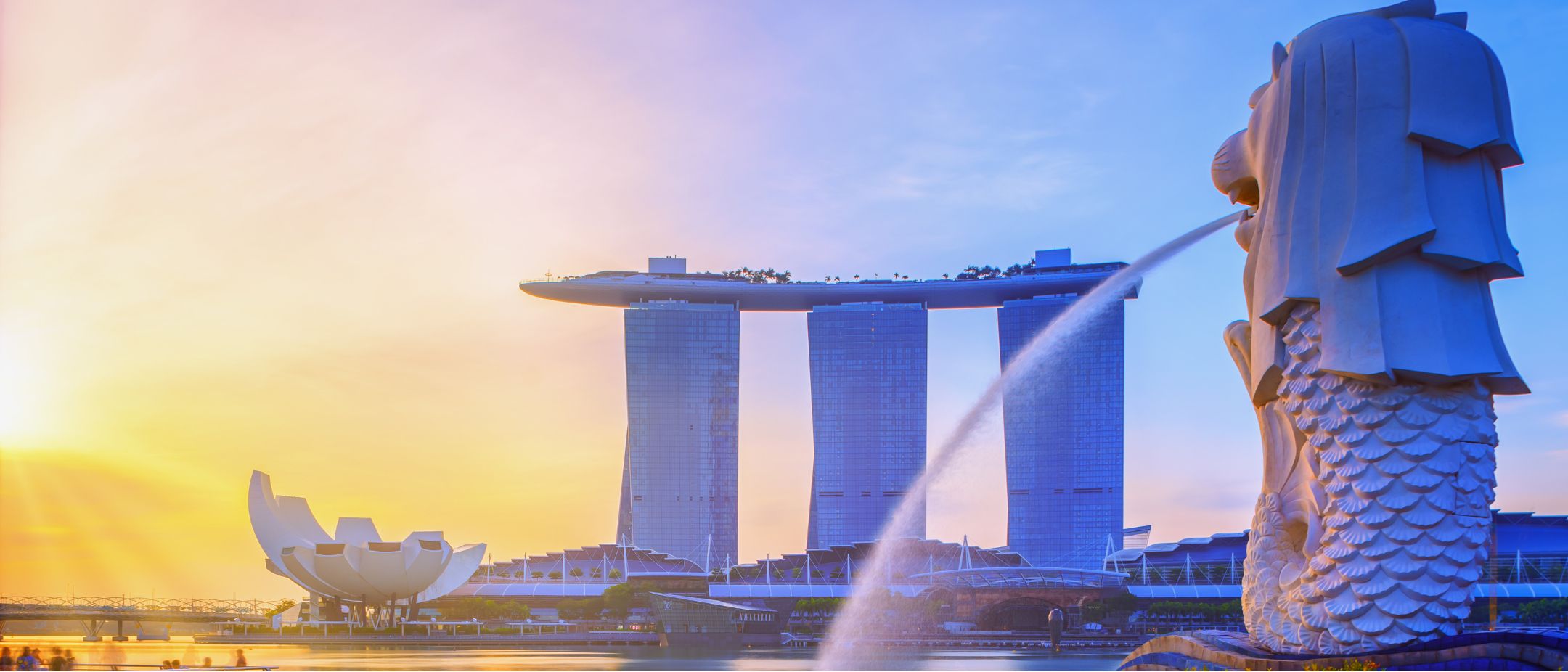 banner-image-Healthcare